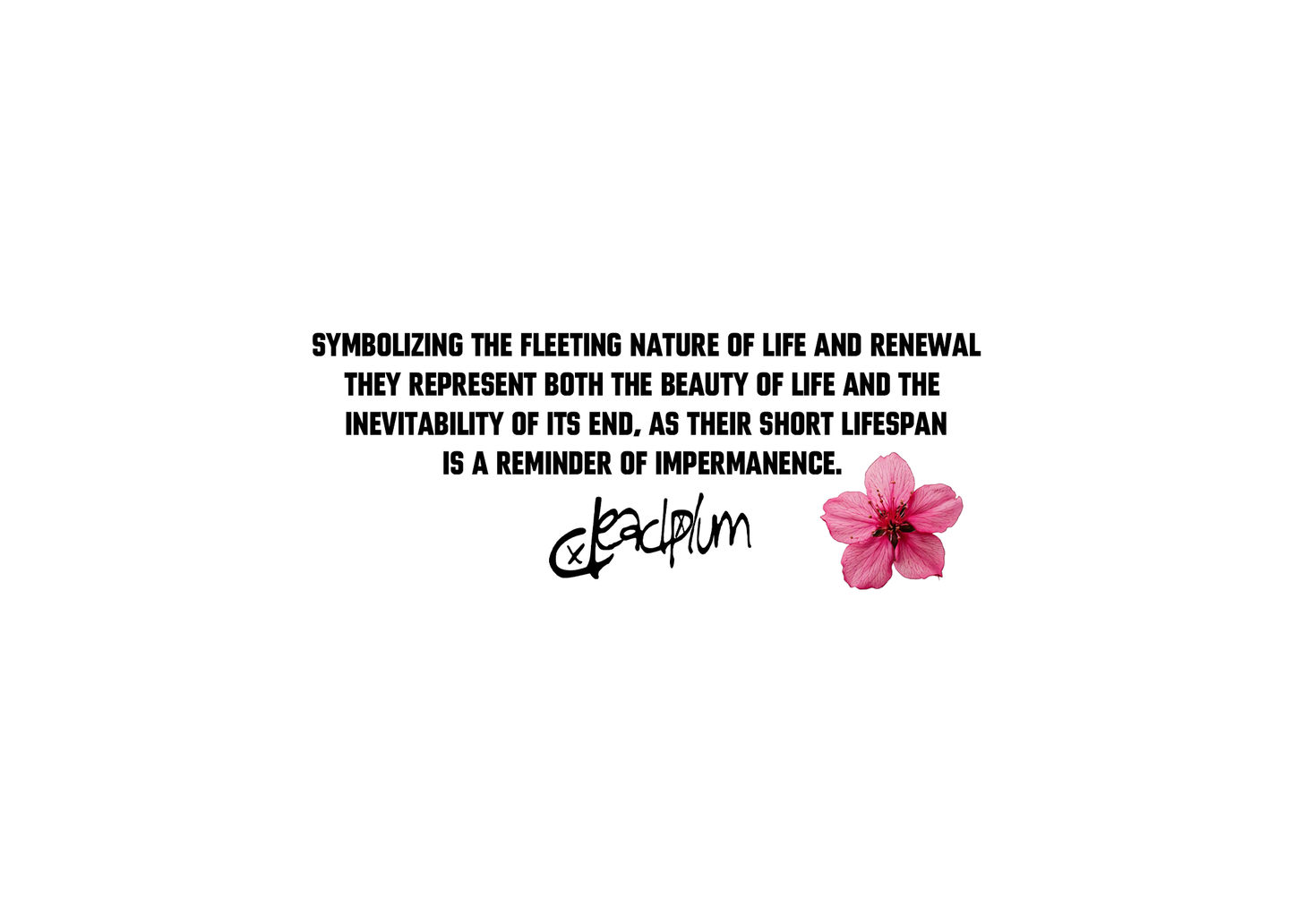 Deadplum Blossom Tee